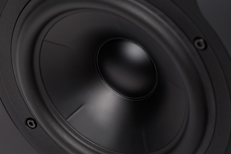 Revel Performa3 M106 mid-woofer