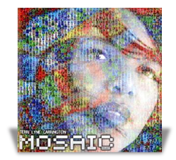 The Mosaic Project