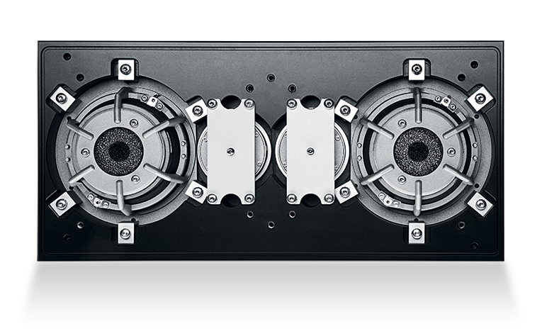 Dynaudio Evidence drive units